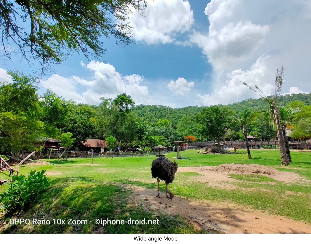 OPPO Reno 10x Zoom Camera Review