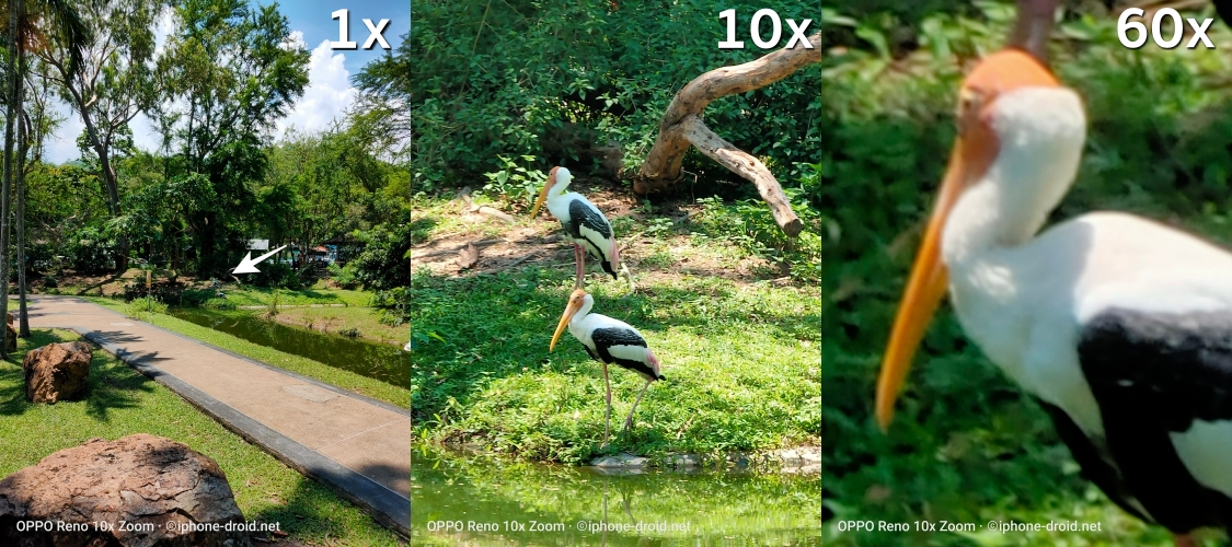 OPPO Reno 10x Zoom Camera Review