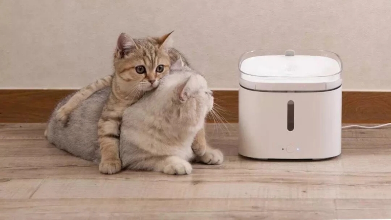 Smart Automatic Pet Water Fountain For Dog Cat