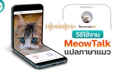 how to use MeowTalk Cat Translator 2022